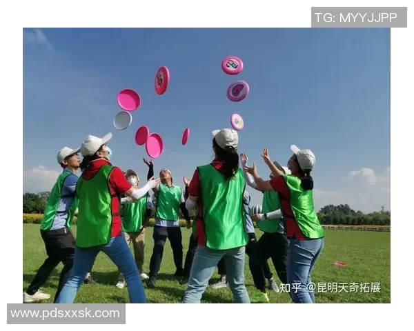 黄静独家分享飞盘技巧与心得体会助你提升飞盘水平的秘籍